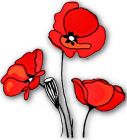 Flowers , Poppy - Red Cornfield (Flanders Field) Poppy